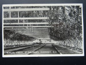 Channel Island Guernsey NEWLYN VINERY St. Saviour's c1960's RP Postcard