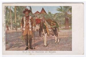 Miner Prospector and His Burro The Wild West 1906c postcard