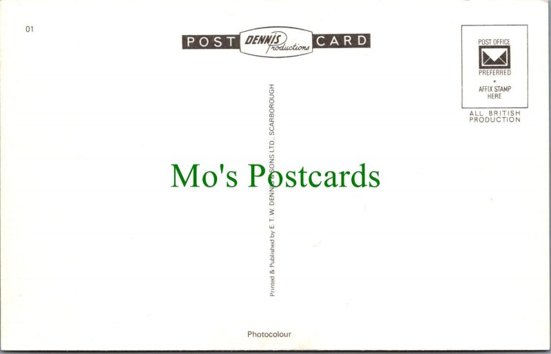 Wales Postcard - River Teifi, Cardigan, Cardiganshire  RS35709