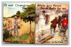 Vintage 1911 Postcard Winter California Oranges Winter in the East Snowballs