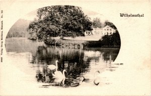 Georg Mattheus, Eisenach, Wilhelmsthal, 203 Postcard