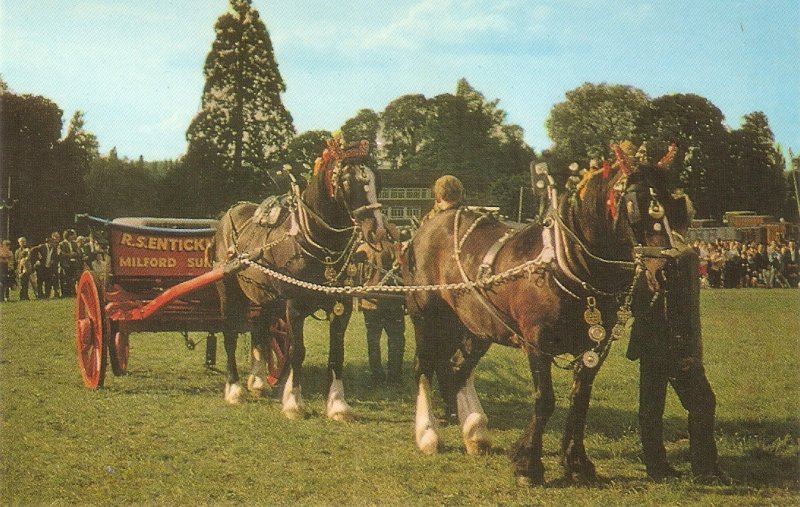 Ornate heavy horses. In the show Ring Nice vintage J. Salmon PC