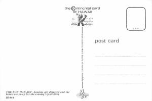 Evening in Waikiki - Hawaii