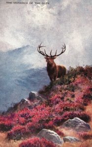 Vintage Postcard The Monarch Of The Glen Painting Deer Fine Art Series Valentine