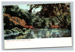 Vintage 1910's German Made Postcard Sabatis River Lewiston Maine