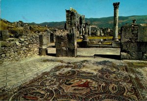 Morocco Volubilis Roman Mosaics