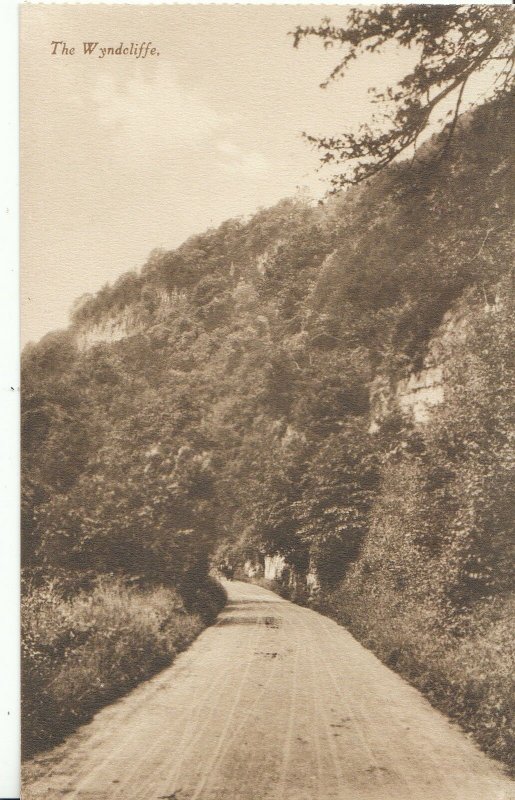 Herefordshire? Postcard - The Wyndcliffe   P403
