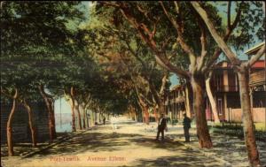 Port Tewfik Egypt Avenue Ellene c1910 Postcard