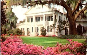 North Carolina Wilmington The Orton Plantation