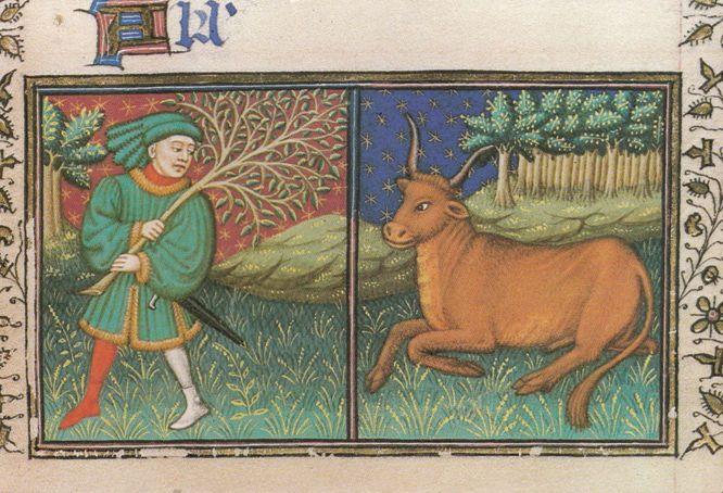 Green Branch Carrying Taurus Astrology French Zodiac Medival Drawing Postcard