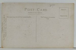 The Scottish Lion Artist Signed Postcard Q6