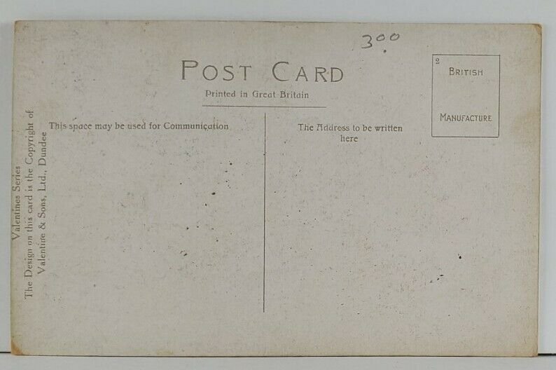 The Scottish Lion Artist Signed Postcard Q6