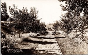 Elmwood Park Swift Current SK Saskatchewan Man on Bench Unused RPPC Postcard H58