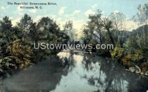 Swannanoa River Biltmore NC Unused