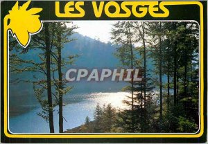 Modern Postcard The High Vosges (France)