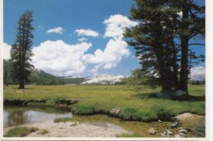 BF18680 toulumne meadows  yosemite national park USA  front/back image