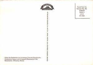 Canon de Candamena - 