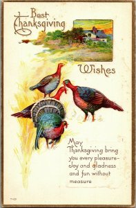 Turkeys, Thanksgiving Wishes Vintage Sales Sample Postcard W35