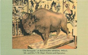 Buckhorn Mineral Wells Old Renegade Mesa Arizona 1940s Postcard MWM 21-505