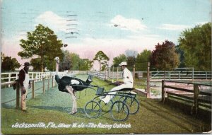 The Racing Ostrich Jacksonville Florida FL Oliver W. Jr c1912 Postcard H5