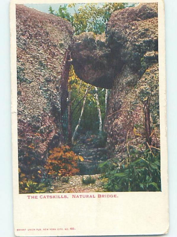 Pre-1907 NATURAL BRIDGE Catskills - Near Kingston & Poughkeepsie NY A1684