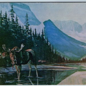 c1960s Great Falls, MT Glacier Park Moose Oil Painting L.H Peters Print PC A236