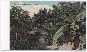 Paw-Paw and Bananas, Florida, 00-10's