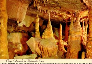 Kentucky Mammoth Cave National Park Onyx Colonnade In Mammoth Cave