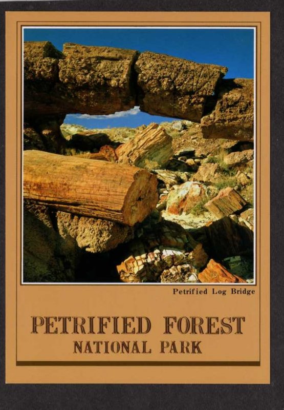 AZ  Petrified Forest National Park Arizona Postcard Logs