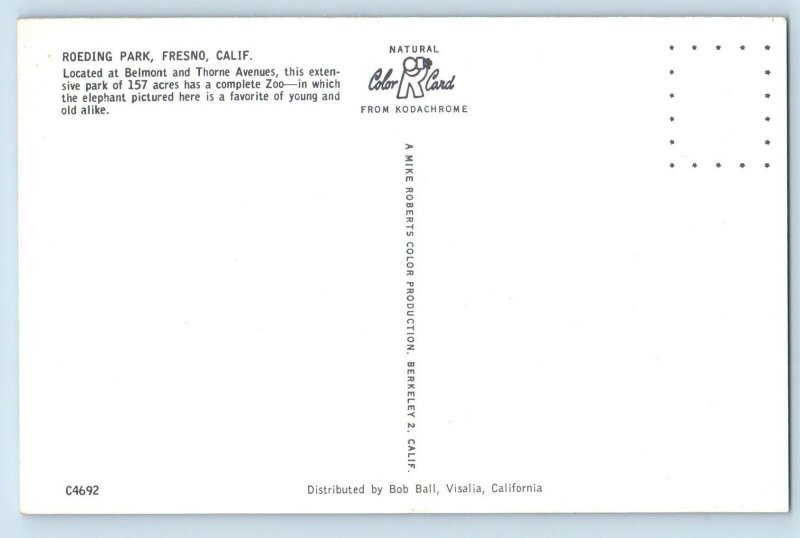 Fresno California CA Postcard Roeding Park Belmont & Thorne Avenuea Elephant