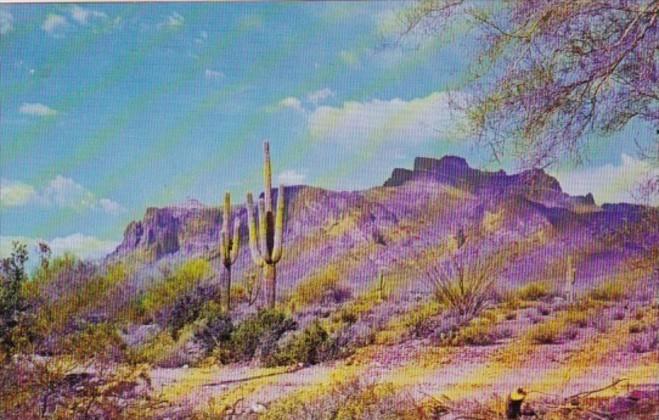 Arizona Superstition Mountain East Of Mesa