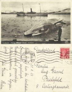 norway, SPITSBERGEN SVALBARD, Green Harbour, Steamer Kong Harald, Whale (1929)