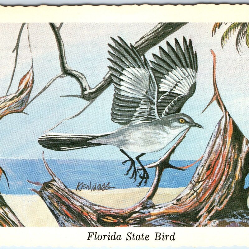 1973 FL Florida State Bird Mockingbird Beach Palms Ken Haag Painting Art PC A335