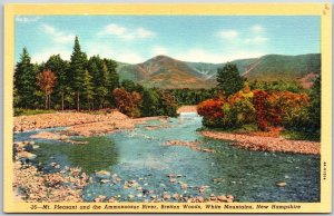 Mt. Pleasant and Ammonoosuc River Bretton Woods White Mountains NH Postcard