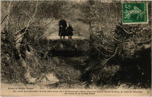 CPA Landerneau- Bois de la la Grande Palud FRANCE (1026718)