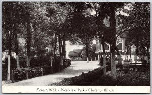 Scenic Walk Riverview Park Chicago Illinois IL Pathway Trees Building Postcard