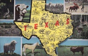 Map Of Texas