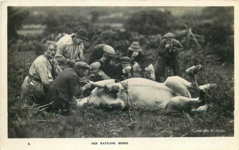 British social history horse her ratting bones photo postcard