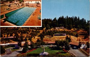 Postcard Ed Johnson's Gold Trail Motor Lodge U.S. 50 in Placerville, California