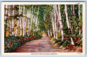 1930's GREETINGS FROM MALVERN ARKANSAS WOODS VINTAGE CURT TEICH LINEN POSTCARD