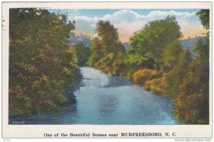 One of the beautiful scenes near Murfreesboro,  North Carolina,   PU_1931