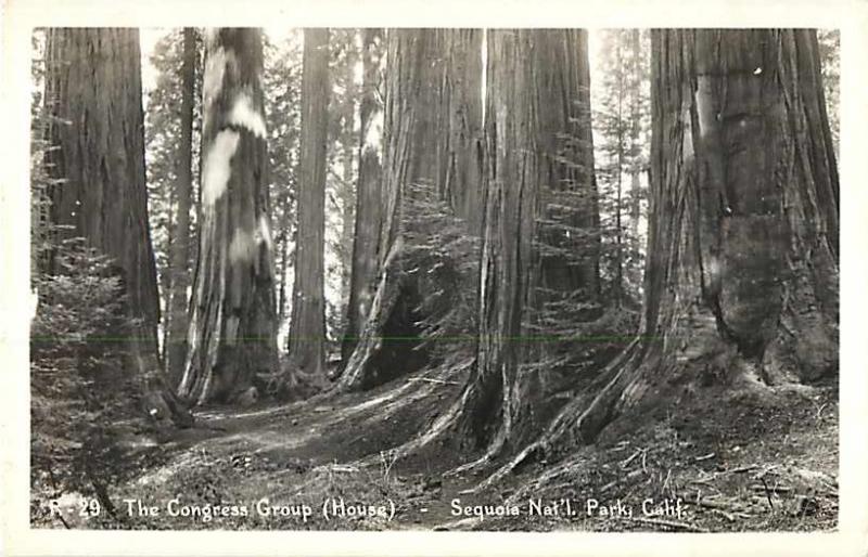 RPPC of The Congress Group, House Sequoia National Park California