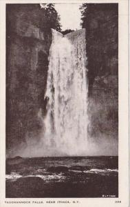 New York Ithaca Taughannock Falls