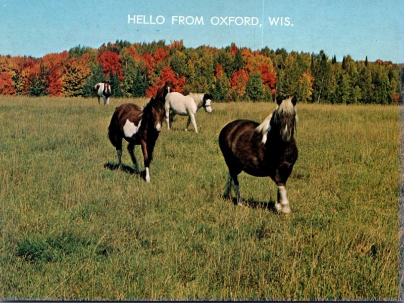 Wisconsin Greetings From Oxford With Horses In Pasture