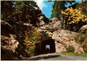 Mt Rushmore,Black Hills,SD BIN