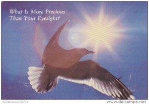Advertising Dr Mark R Wright Optometrist Johnstown Ohio