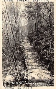 Stony Lake Street Sweeper, Real Photo - Shelby, Michigan MI  