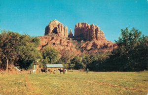 USA Famous Cathedral Rock Sedona Arizona Vintage Postcard 08.12