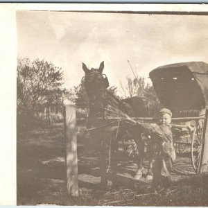 c1910s Cute Little Boy Feeds Horse RPPC Drawn Carriage Adorable Real Photo A171