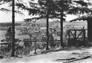 BG29295  finsterbergen thur wald germany CPSM 14.5x10cm